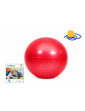 Фитбол 65 см (Bavar Sport) Фитбол 65 см (Bavar Sport)